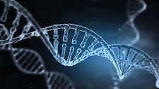 Genética DNA